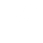 HawkEye Aerial Media White Logo
